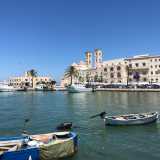 Dalla vicina banchina Seminario, abbiamo la possibilit� di gustarci la classica visione "da cartolina" di Molfetta: il duomo stesso, affiancato da palazzo Dogana (restaurato da pochissimi mesi), con le barche dei pescatori in primo piano
